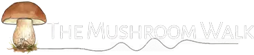 The Mushroom Walk