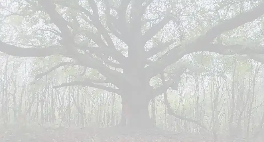 oaktree-dark
